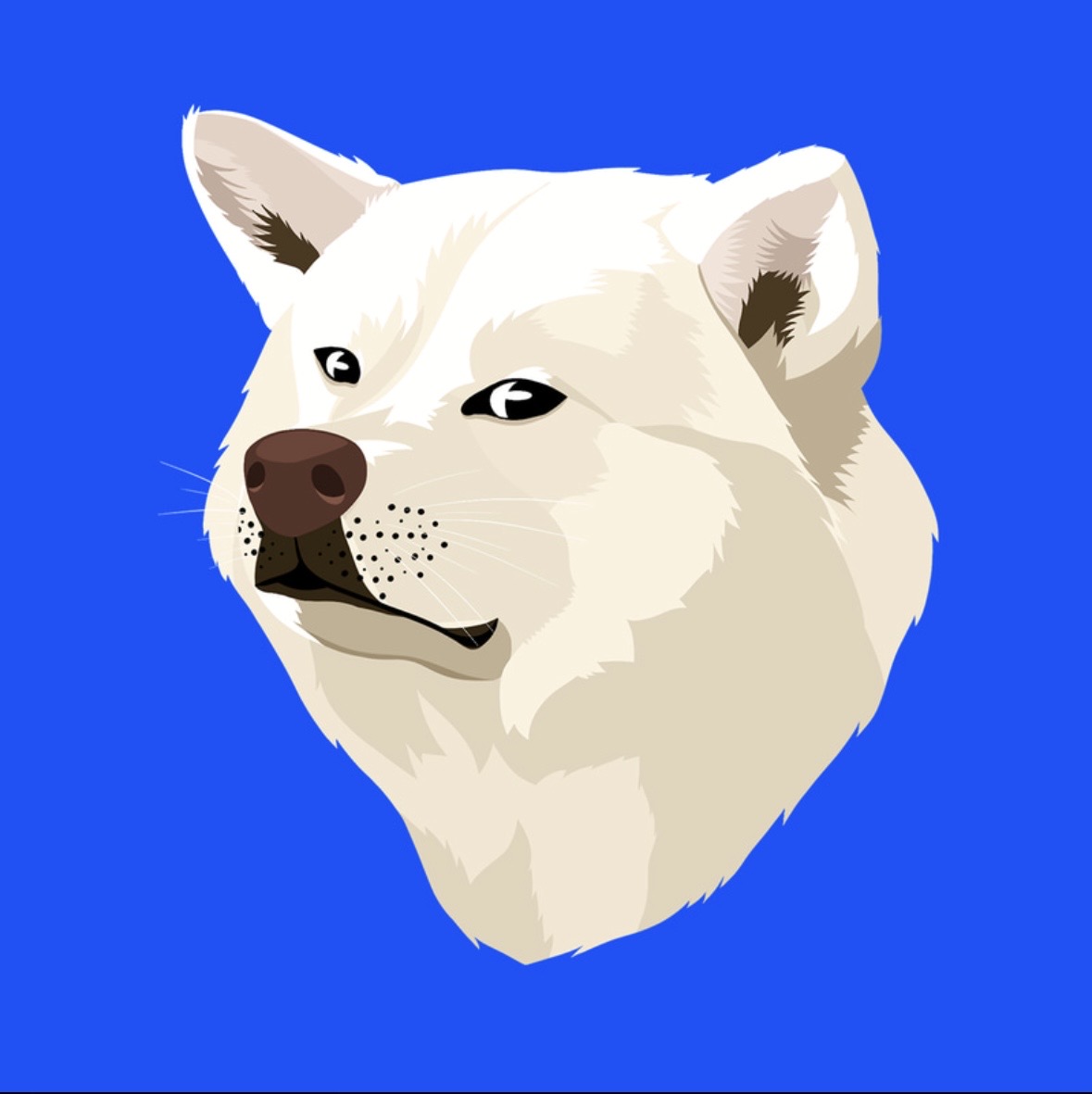 Tester logo